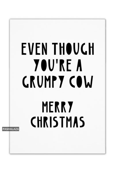 grumpy cow christmas card