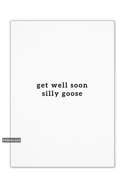 Silly Goose