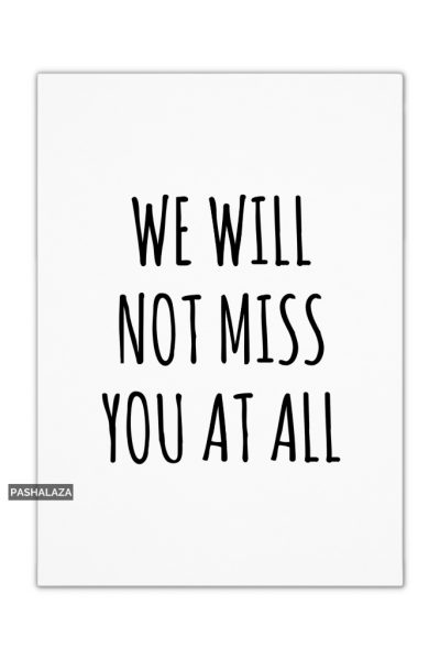 Not Miss You