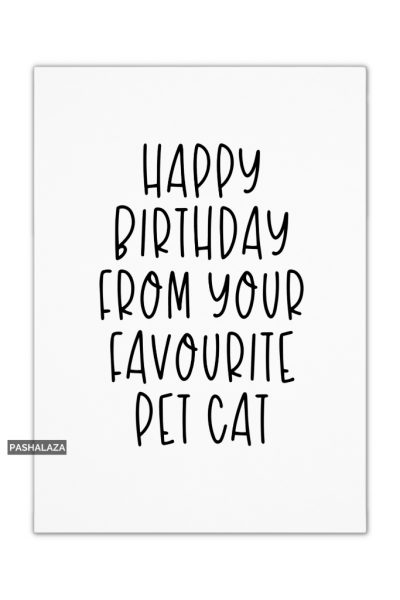 Favourite Pet Cat