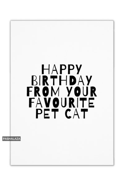 Pet Cat