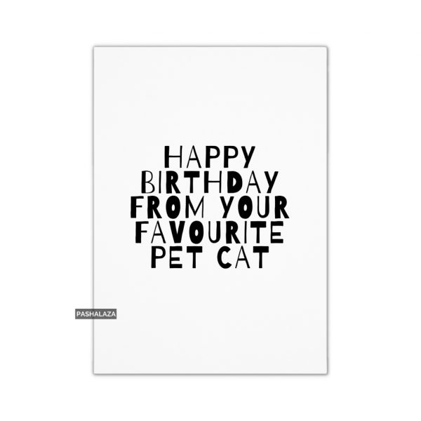Pet Cat