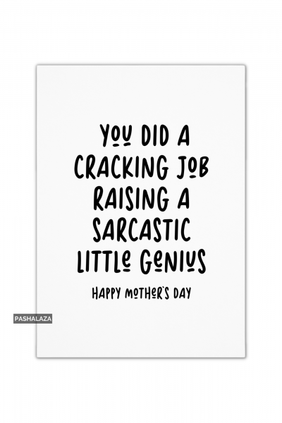 Sarcastic Genius