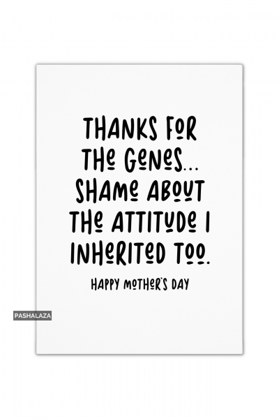 The Attitude